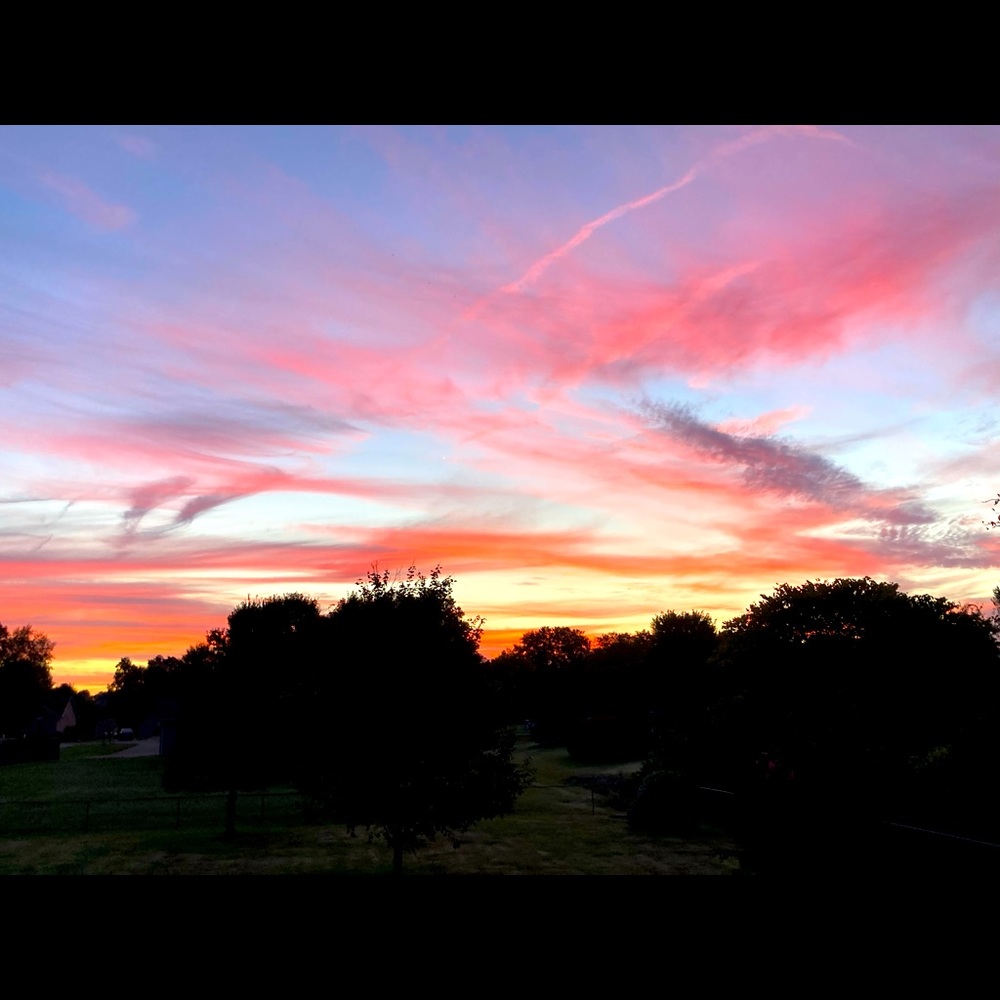 Meet your Posher, Dana